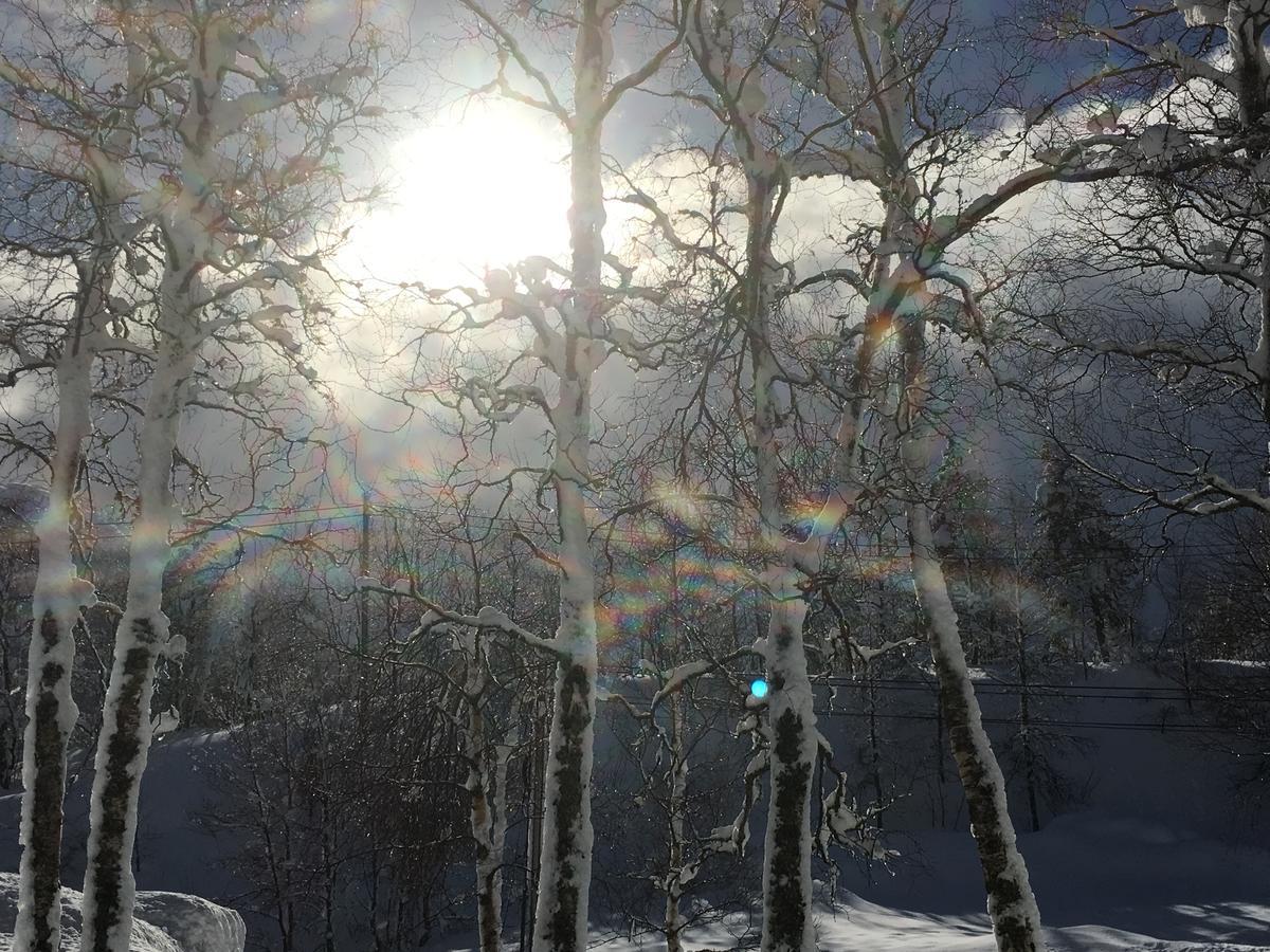 Kvamseter Lodge Eikedalen Kültér fotó