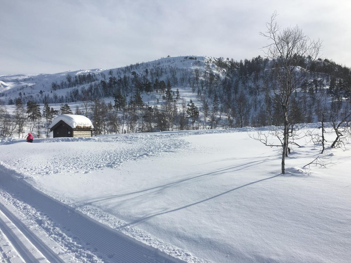 Kvamseter Lodge Eikedalen Kültér fotó